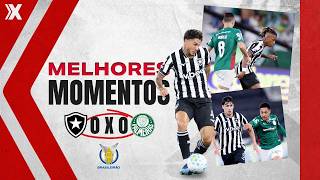 BOTAFOGO 0 X 0 PALMEIRAS | MELHORES MOMENTOS | BRASILEIRÃO SÉRIE A