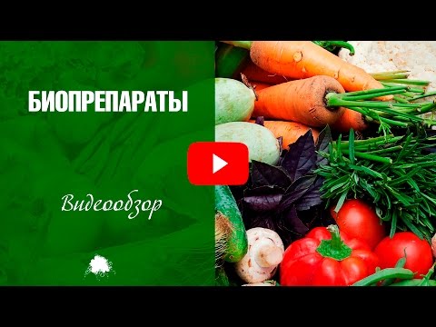 Биопрепараты для защиты садовых растений от вредителей ✅ Дача сад и огород с Хитсад