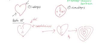 Beta Blockers but not CCB in HFrEF