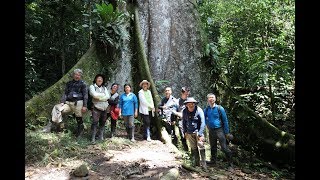 2018 祕魯亞馬遜河Manu National Park 國家公園P03