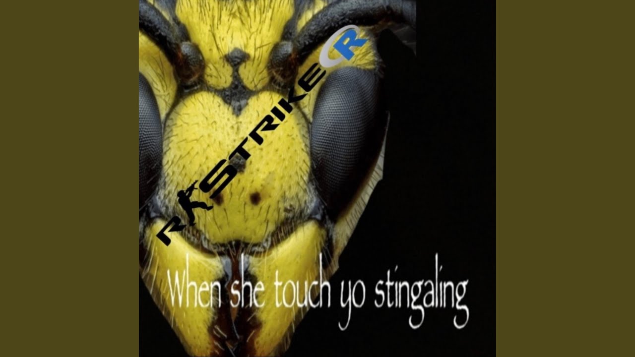 Watch STINGALING on YouTube Watch STINGALING on YouTube