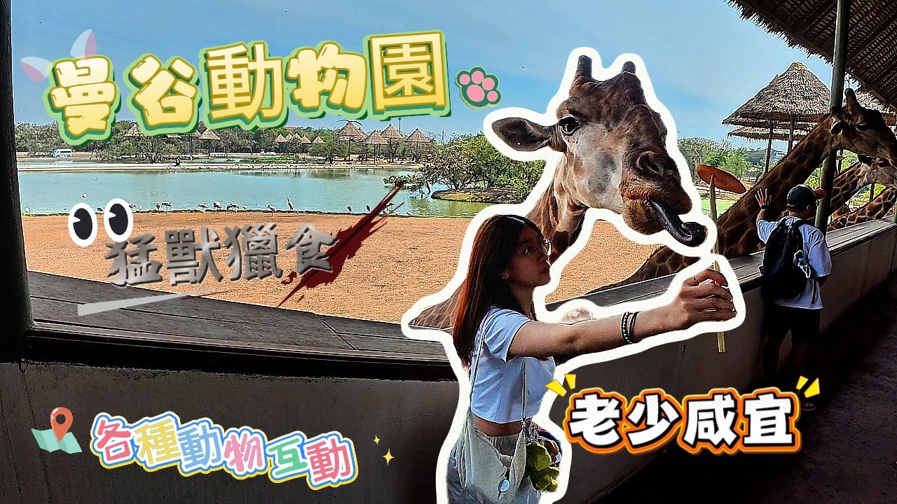 前往Safari World 比較划算: 包車 打GRAB 還是跟團 ? 餵長頸鹿和各種動物戶動拍照價錢又是多少 ? 曼谷動物園一日遊預算應抓多少 ?