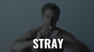 Calexico - Stray // True Detective