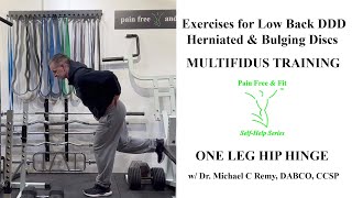 Degenerative Disc Disease Exercises for Degeneration, Herniated &amp; Bulging Discs- One Leg Hip Hinge