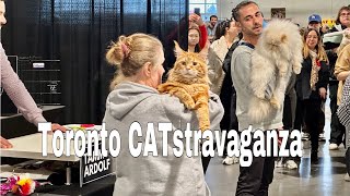 Toronto Catstravaganza  Exhibition Place Toronto | International & Exotic Cat Competition