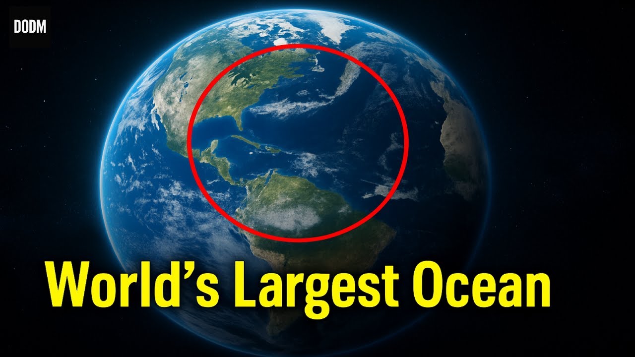 Pacific Ocean Incredible Facts You’ve Never Heard | DODM Documentary 2025