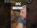 DOG WARNING #dog #dogs #pitbull #doglover #danregancomedy