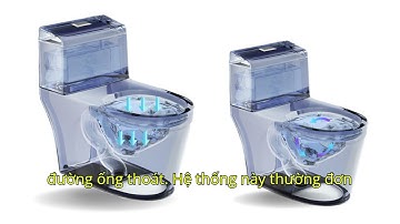 Bồn cầu xả xoáy và xả thẳng