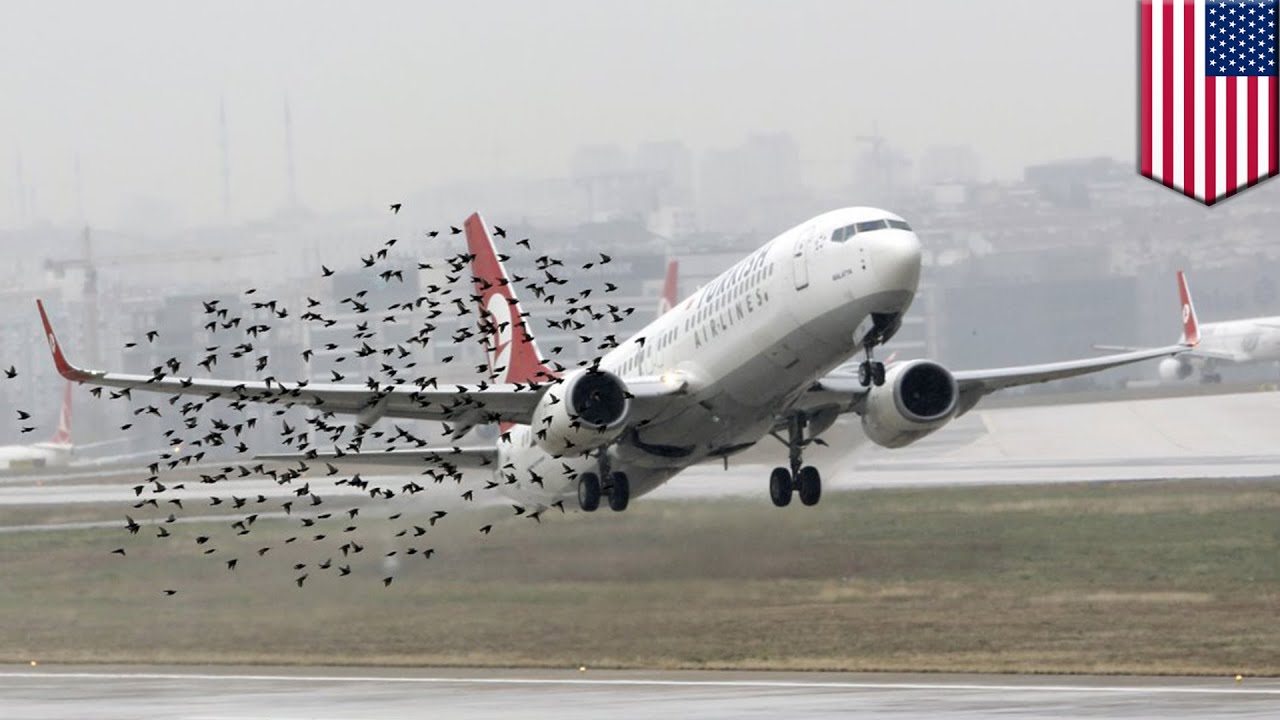 Strike Jet Strike Jet