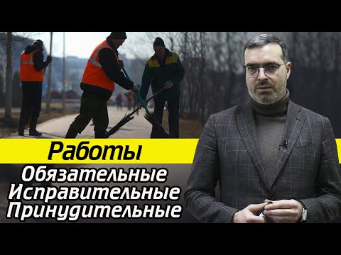 Видео: Водитель опытный или полуквалифицированный?