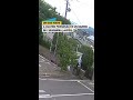 Un oso hiere a cuatro personas en Fukushima (Japón)