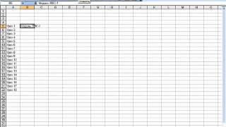 Word и Excel Office 2003   29  Excel  Ввод данных автозаполнение