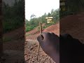 #short #slowmotionrecording #arrows #trending #shorts