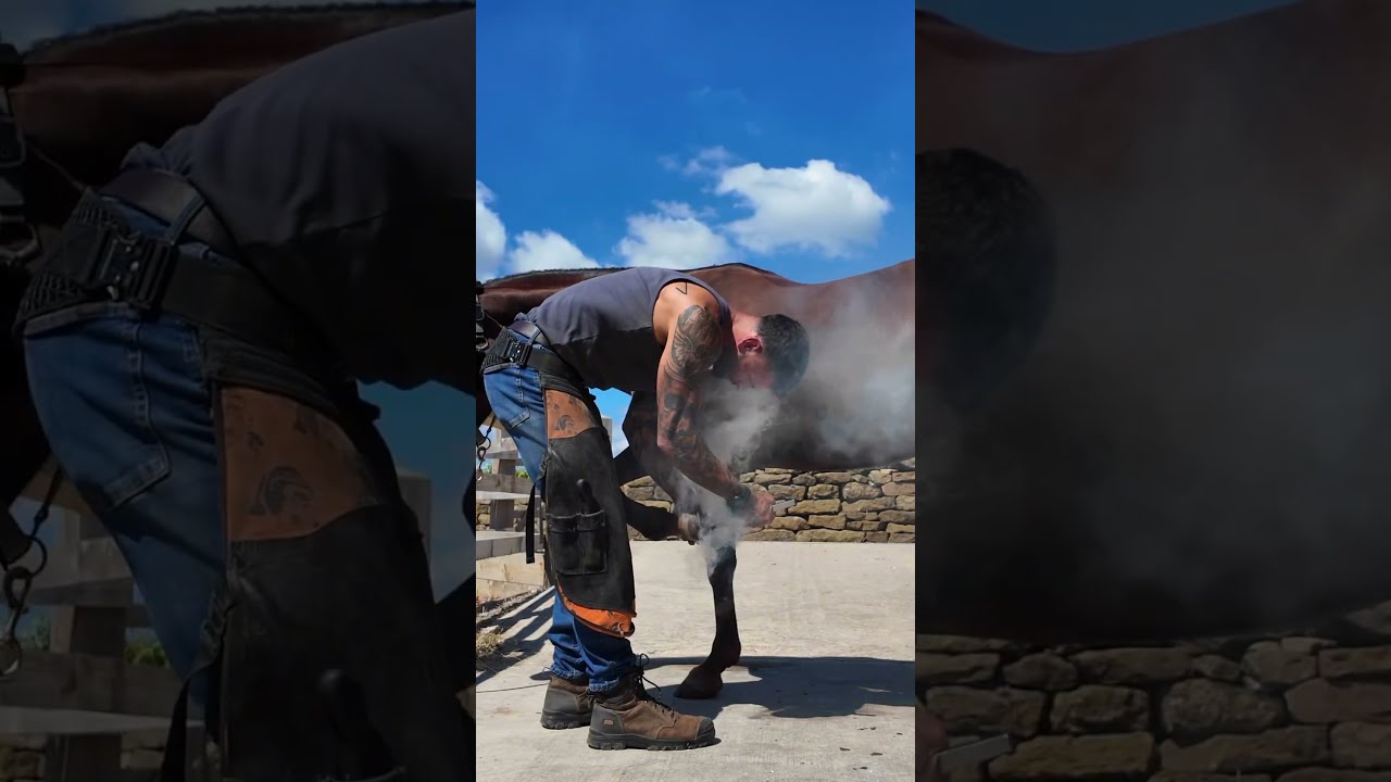 Sorry Did You Say Shetland Racing Pony Meet Bullseye Shorts Youtube Farrier