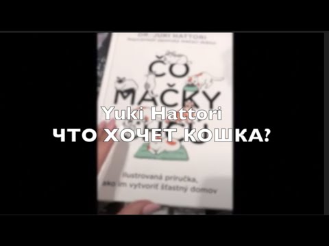 ✔️ЧТО ХОЧЕТ КОШКА? | Книга о том, как сделать жизнь кошки в доме счастливой ✔️