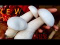 Milky Mushroom farm review and cooking Chilli mushroom recipe by my mother and Grandmother