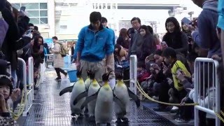 Osaka Trip 2016