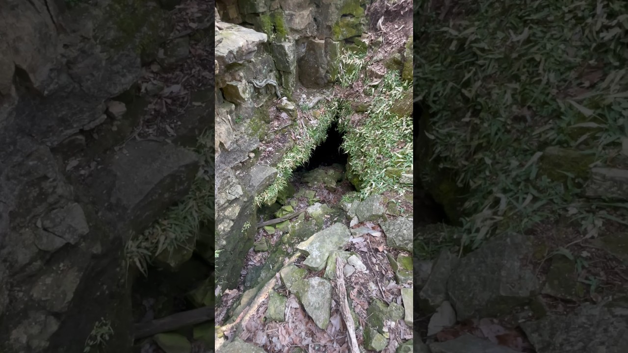 Did I find buried TREASURE?? 