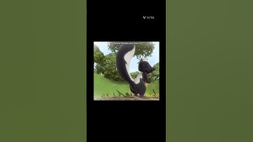 Skunk Farting