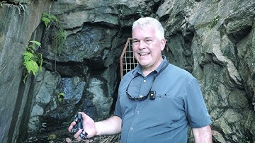 An In Depth Tour of the Recently Acquired Queen