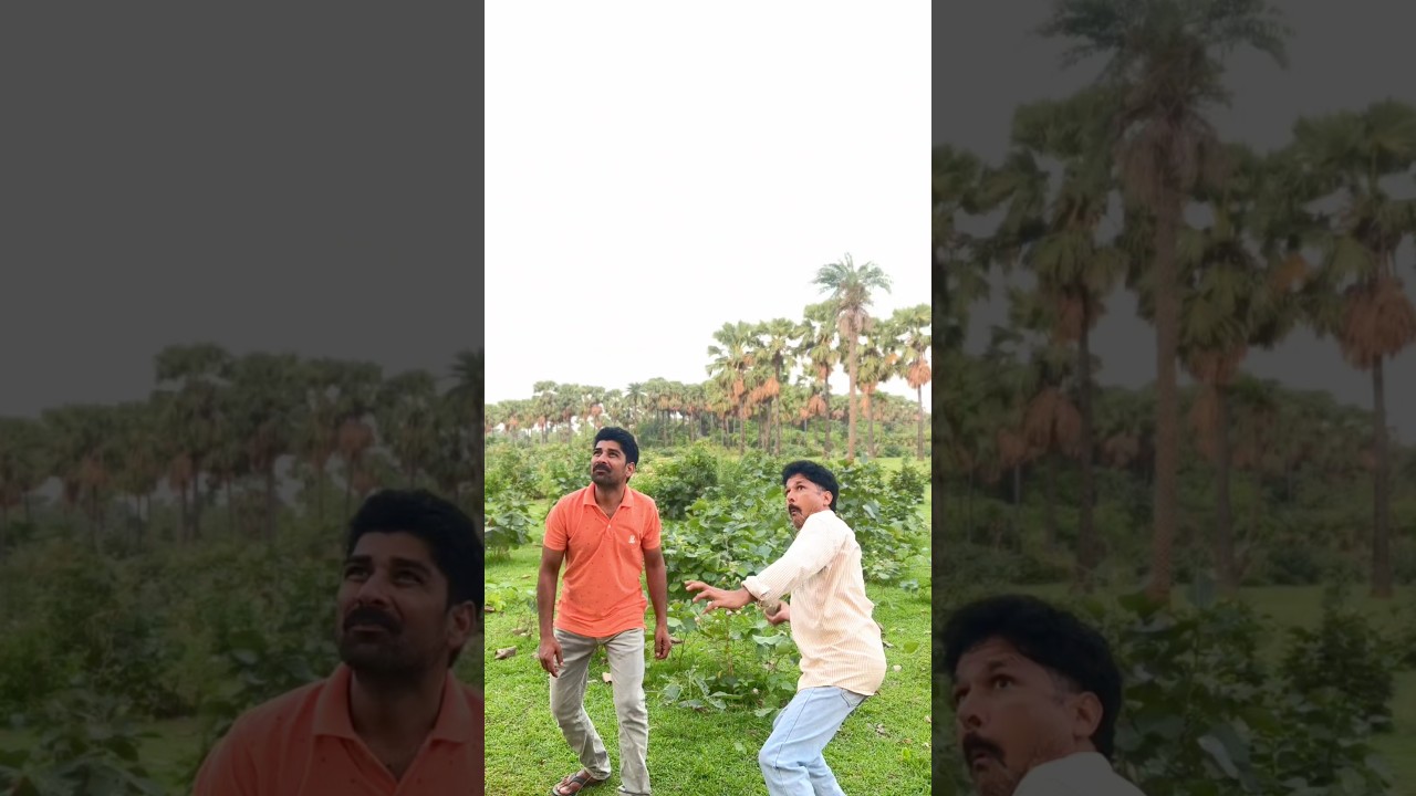 chidiya ko maarte hi uske bacche pareshan #youtubeshorts #viralvideo #chidyaviral