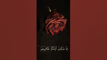 الشيخ عمير شميم~ #عمير_شميم #تلاوة_خاشعة #قرآن #الشيخ_عمير_شميم