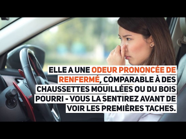 vidéo 25: Enlever l'humidité de sa voiture. 