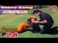 ROTTE VIRIGI NETHILO VIDEO SONG |GHARANA DONGA | TELUGU MOVIE KRISHNA | SRIDEVI | V9 VIDEOS