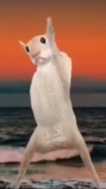 Rat dancing to Kamalala kumalala kumala savesta in 2023