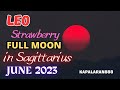 MAKINIG MUNA BAGO MAGDISISYON ♌ LEO JUNE 2023 STRAWBERRY FULL MOON in SAGITTARIUS #KAPALARAN888