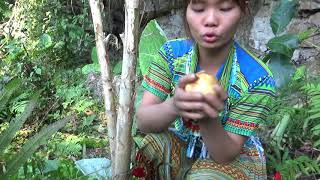 Survival primitive: Ethnic girl Finding food meet natural fruit and flee the forest people primitive