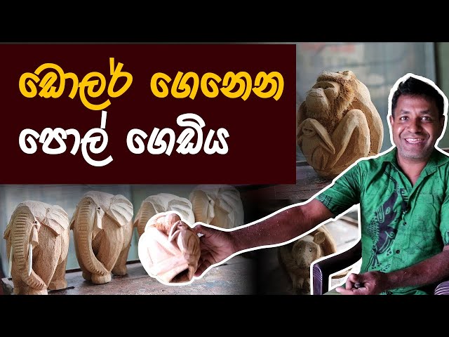 ඔබ මීට පෙර කවදාවත් දැක නැති පොල් ගෙඩියෙන් ඩොලර් හොයන මිනිස්සු | Coconut Art and Craft