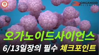 [오가노이드사이언스 분석] 주가 반등할 수 있을까??? #오가노이드사이언스