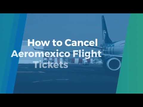 Wideo: Zdmuchnąłeś To, Aeromexico: Turban Nie Równa Się Terrorystom