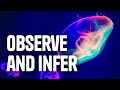 Senses and Observations in Science