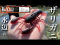 【バス釣り】ザリガニスト！レイドジャパン2023年新商品！ ボトムと仲良しになれる新型クロー系ワーム。   RAIDJAPAN グラディエーターアンチ　『甲殻類・最強伝説』