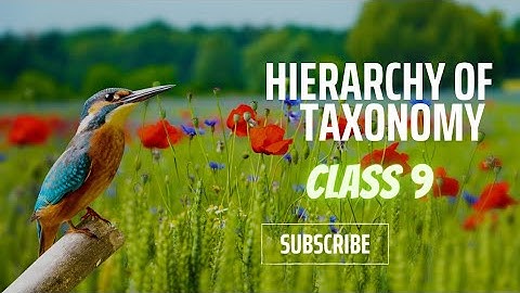 Hierarchy of Taxonomy #class 9#biology #KPK Board