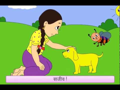 How Do Plants  Grow Hindi  YouTube