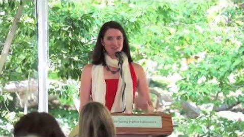 Decision-making as a window on brain function