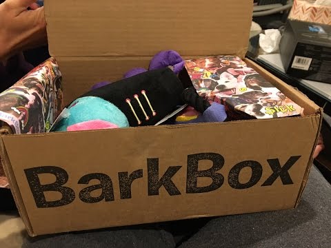 barkbox-unboxing-&-review---april-2017-for-medium-dogs