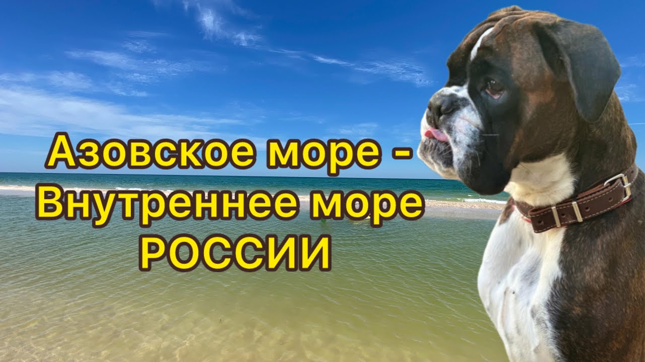 Нежный Шум Моря, Звуки Волн Для Сна и Релаксации. 3 Часа 4К Видео