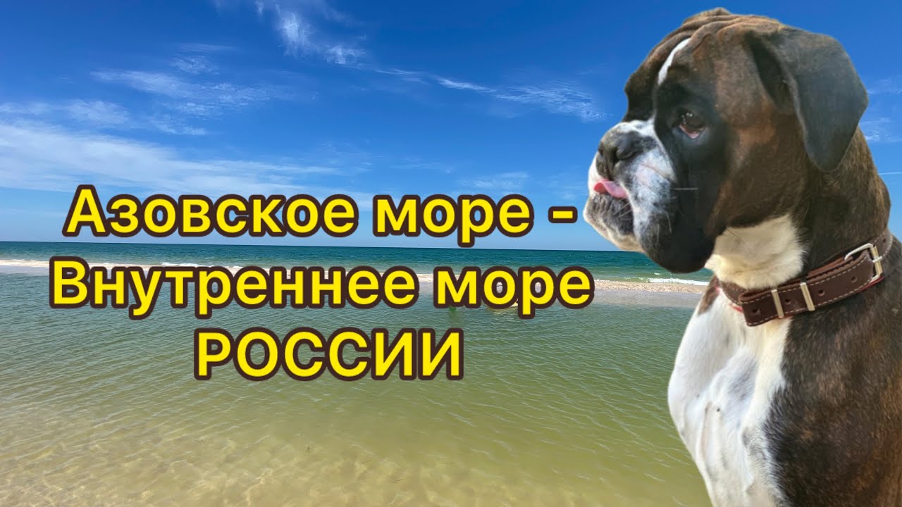 Азовское море - внутреннее море России. 2 июня 2024 - YouTube