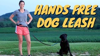 Honest Review of the Sparkly Pets Hands Free Dog Leash