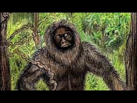 the ohio grassman youtube