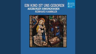 O Wunder, was soll das bedeuten