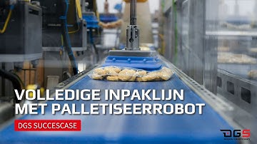 Volledige Inpaklijn en Palletiseer Robot - DGS Succescase | Oosterwolde