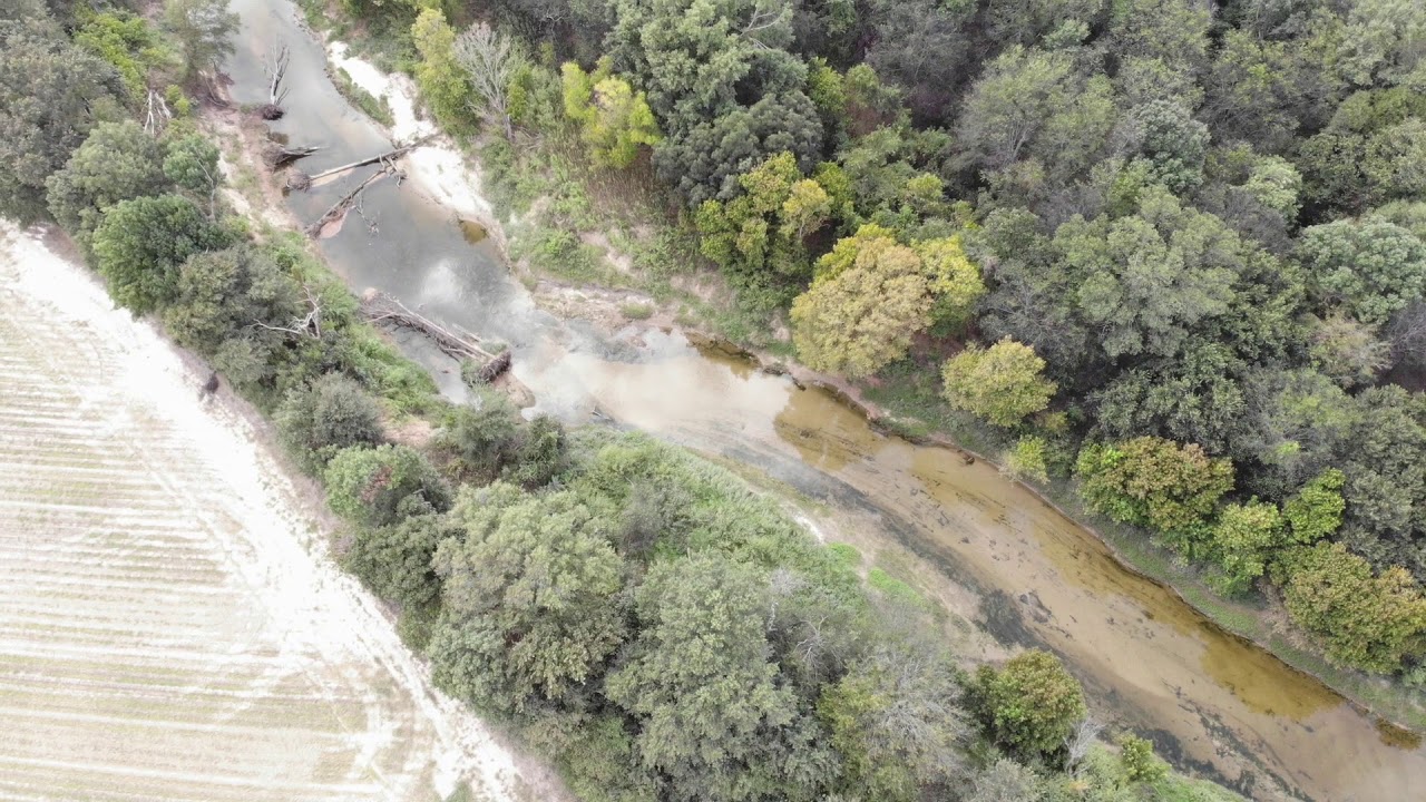 Courtney Farm YouTube