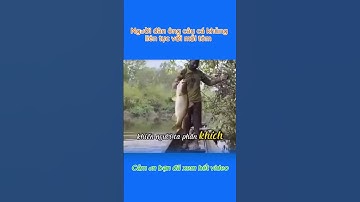 Người đàn ông câu cá khủng liên tục chỉ với mồi tôm sống #shorts