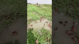 jbl bass water 💦💦 test jump 🦘🦘 flip2