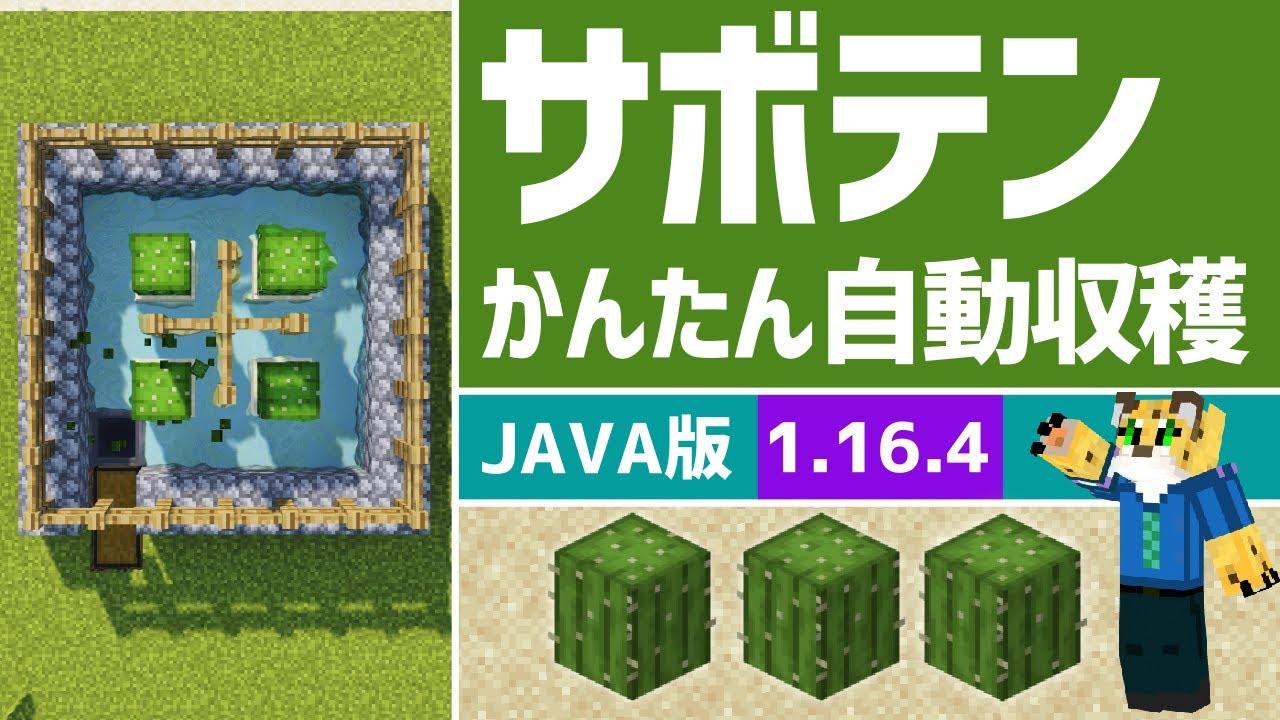 簡単 全自動サボテン収穫機の作り方 マイクラ Java 1 16 4 Youtube